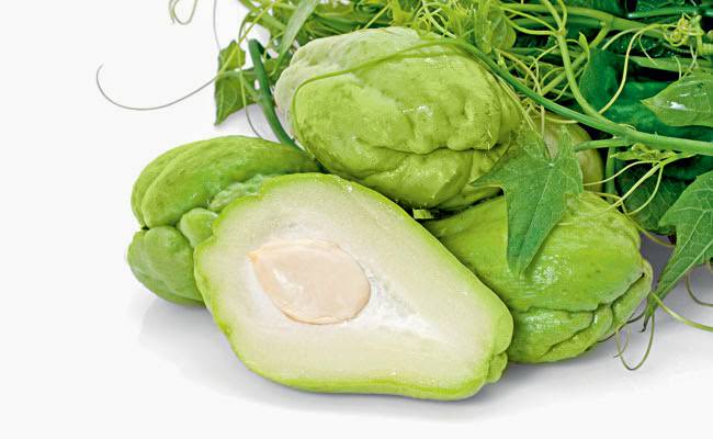 Мексиканский огурец – ценный пищевой продукт, т.к. съедобны в нем почти все части